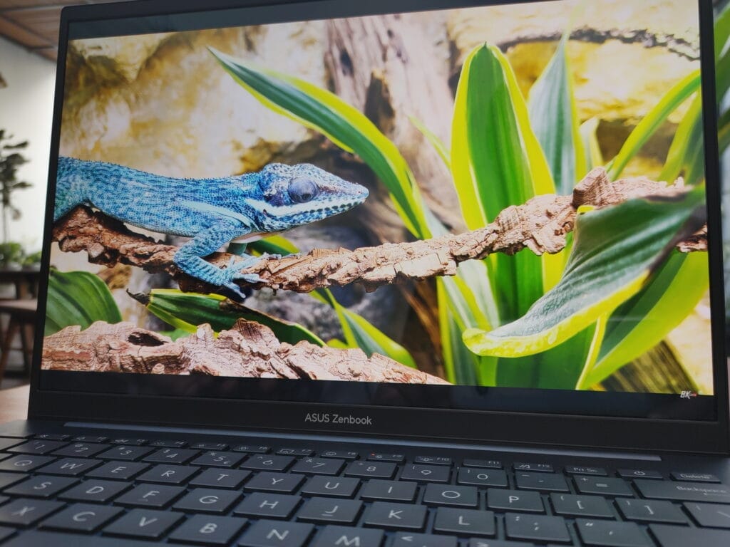 Zenbook 14 OLED UX3405 layar